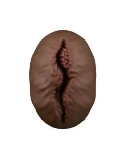 Lovetoy - Stroker Masturbator Alien's Pie 1 - Donkere Huidskleur 13 Lovetoy - Stroker Masturbator Alien's Pie 1 - Donkere Huidskleur -Cock & Ball Toys winkel Lovetoy Stroker Masturbator ALIENS PIE 1 donkere huidskleur 4