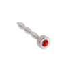 Kiotos Steel Penisplug Met Rood Siersteentje Justin